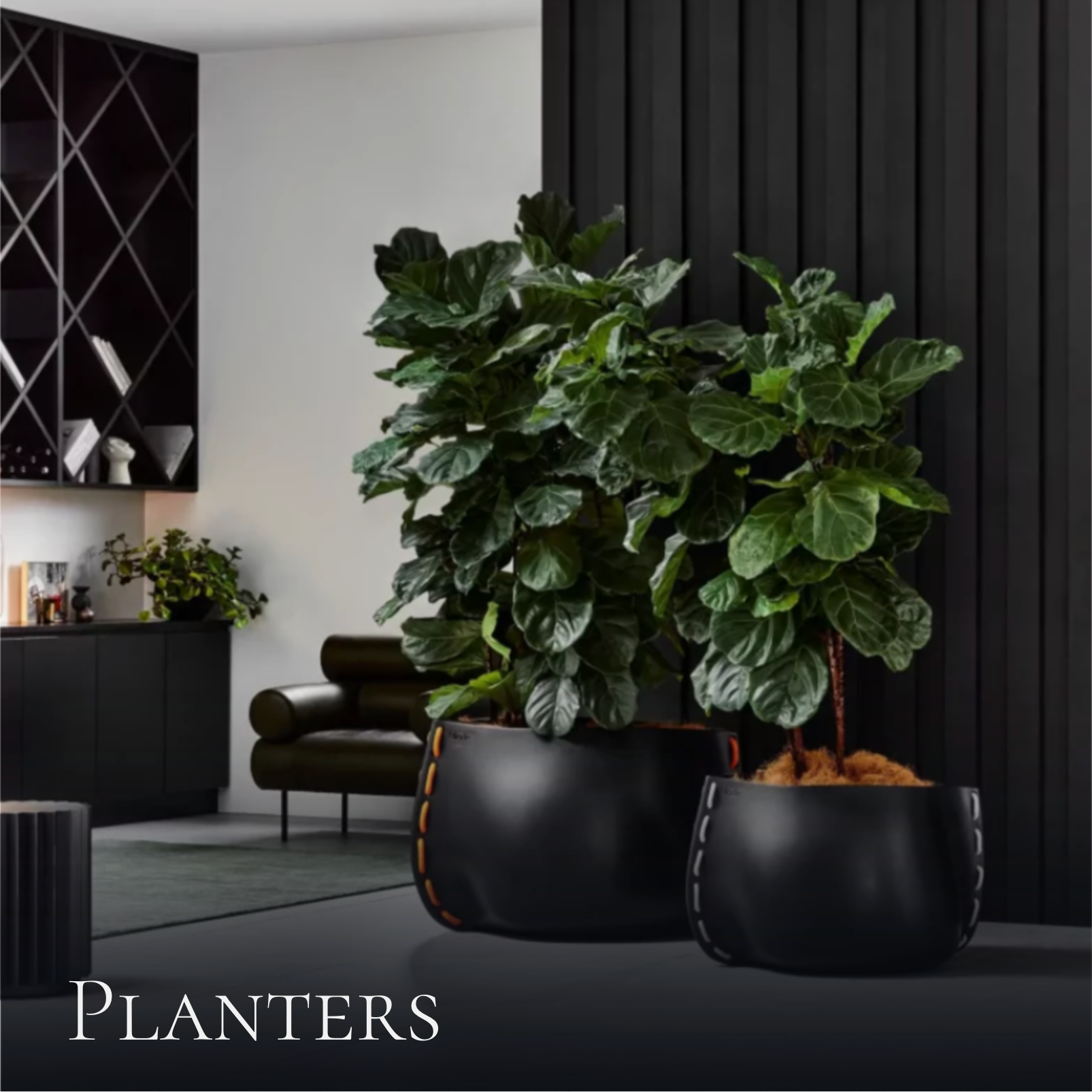 Planters